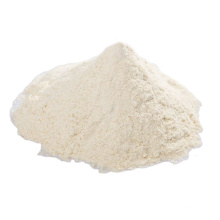 Lactobacillus Casei  Probiotics Powder